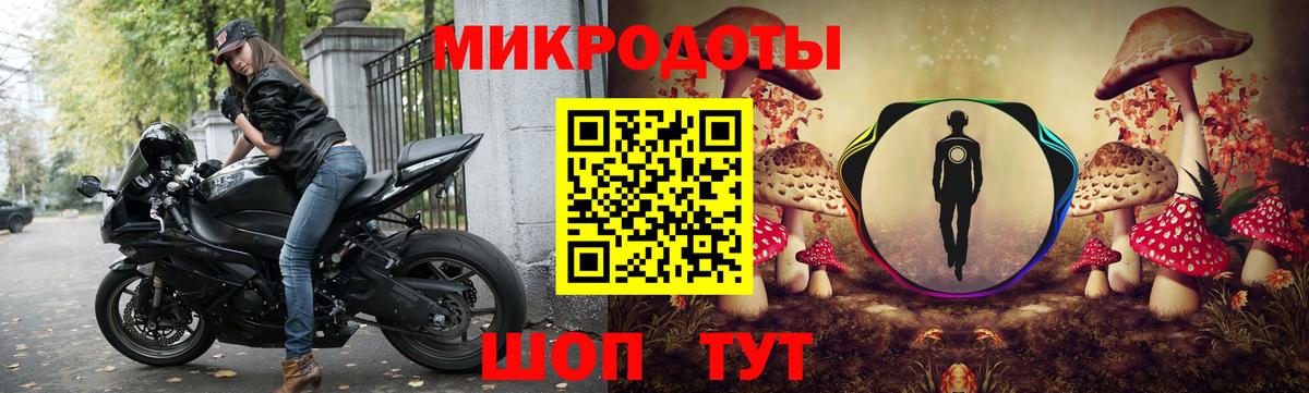 Галлюциногенные грибы Psilocybe Сызрань