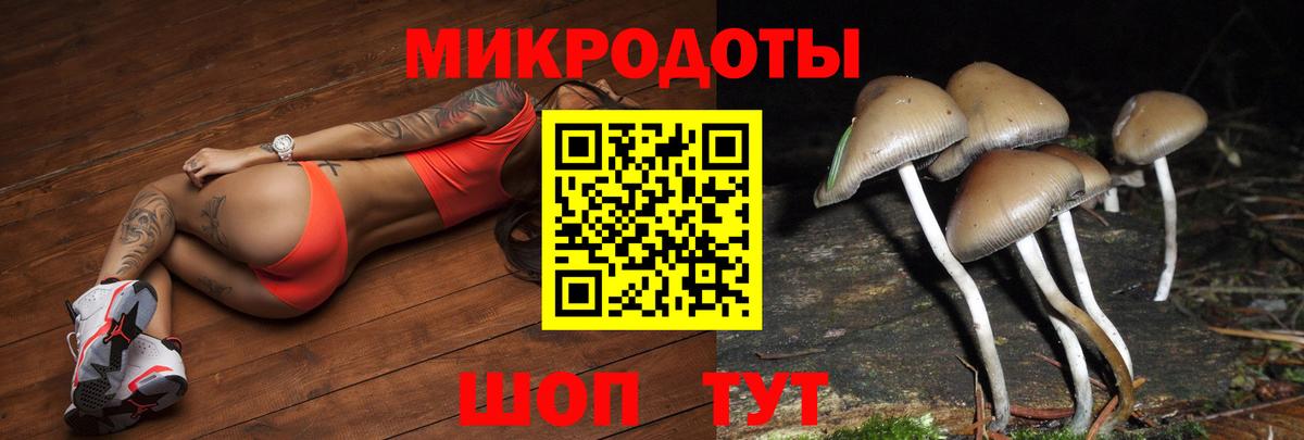 Псилоцибиновые грибы Cubensis  Вход с VPN  Сызрань  Псилоцибиновые грибы мицелий 